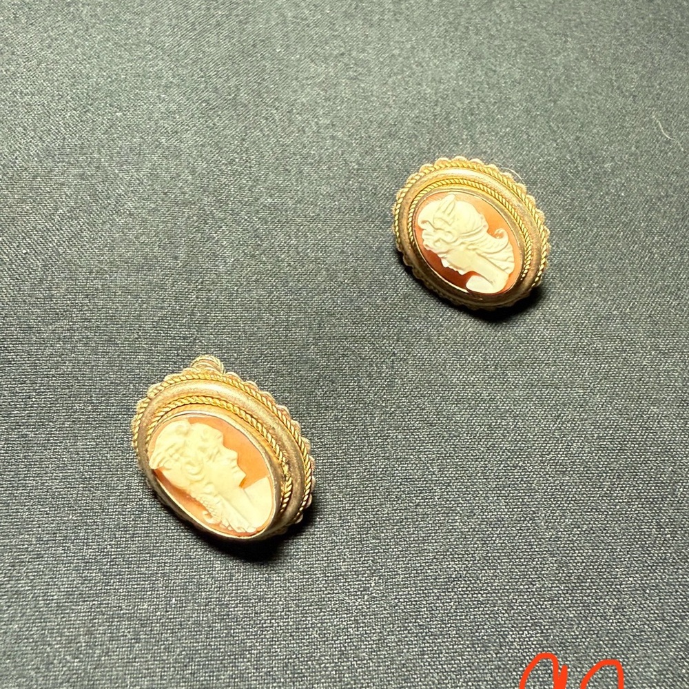 PRICE FIRM • Screw back “800” 80% pure silver carved cameo stud earrings